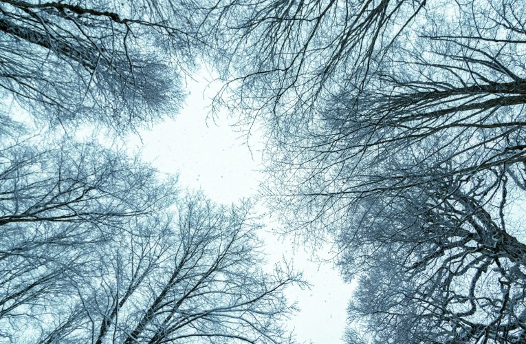 Aktualna sytuacja pogodowa w Łodzi